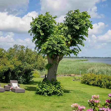 Boddenhuus - Traumhaus Mit Steg Und Boot