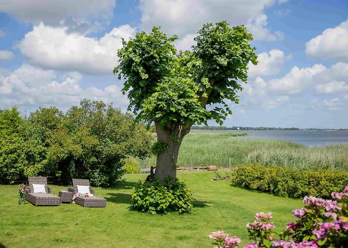 Boddenhuus - Traumhaus Mit Steg Und Boot
